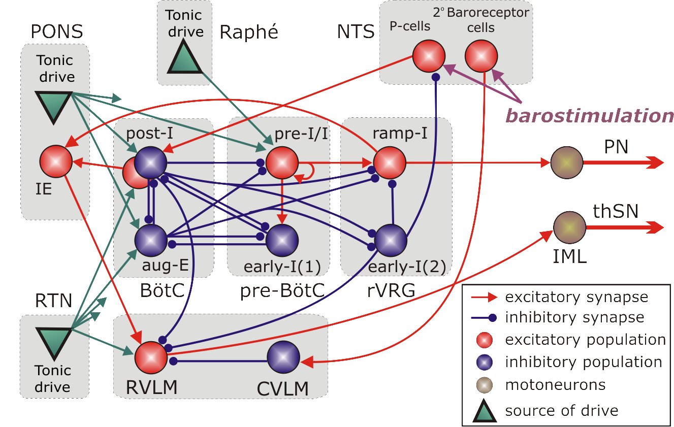 Respiratory CPG